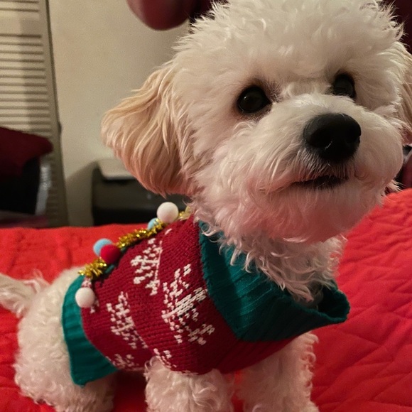 Dog/Puppy — Christmas Sweater with Sherpa inside - Picture 9 of 10